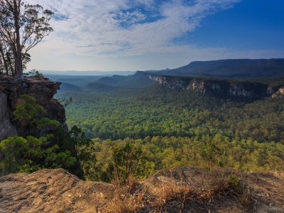 Carnarvon Gorge landscape